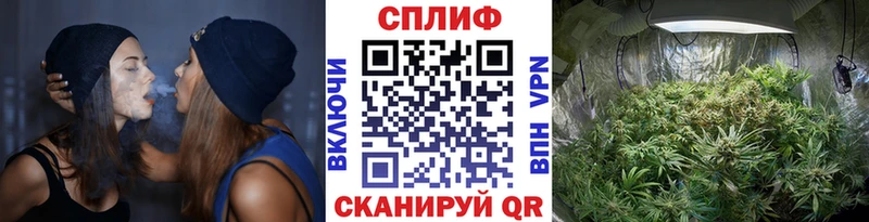 Канабис сатива  Козловка 